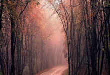 克罗地亚足球队世界排名多少？实力究竟如何？